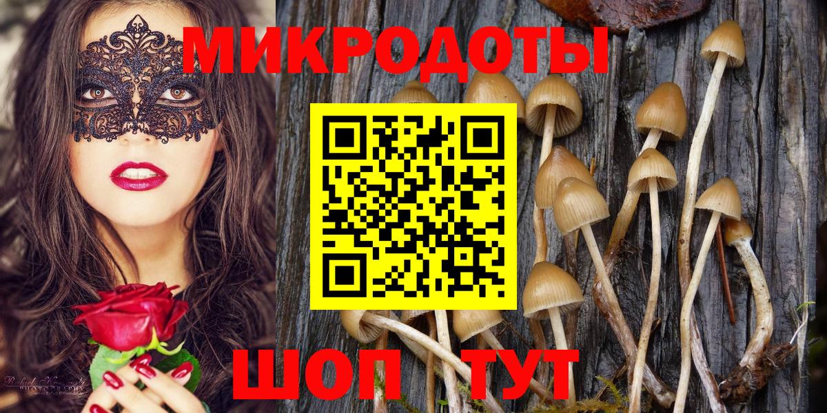 Великий Новгород  купить закладку  Галлюциногенные грибы Psilocybine cubensis  Вход с VPN  Псилоцибиновые грибы мицелий 